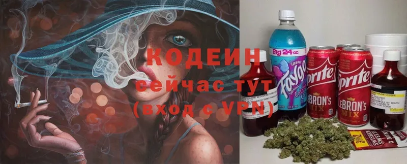 Кодеин напиток Lean (лин)  Каменка 